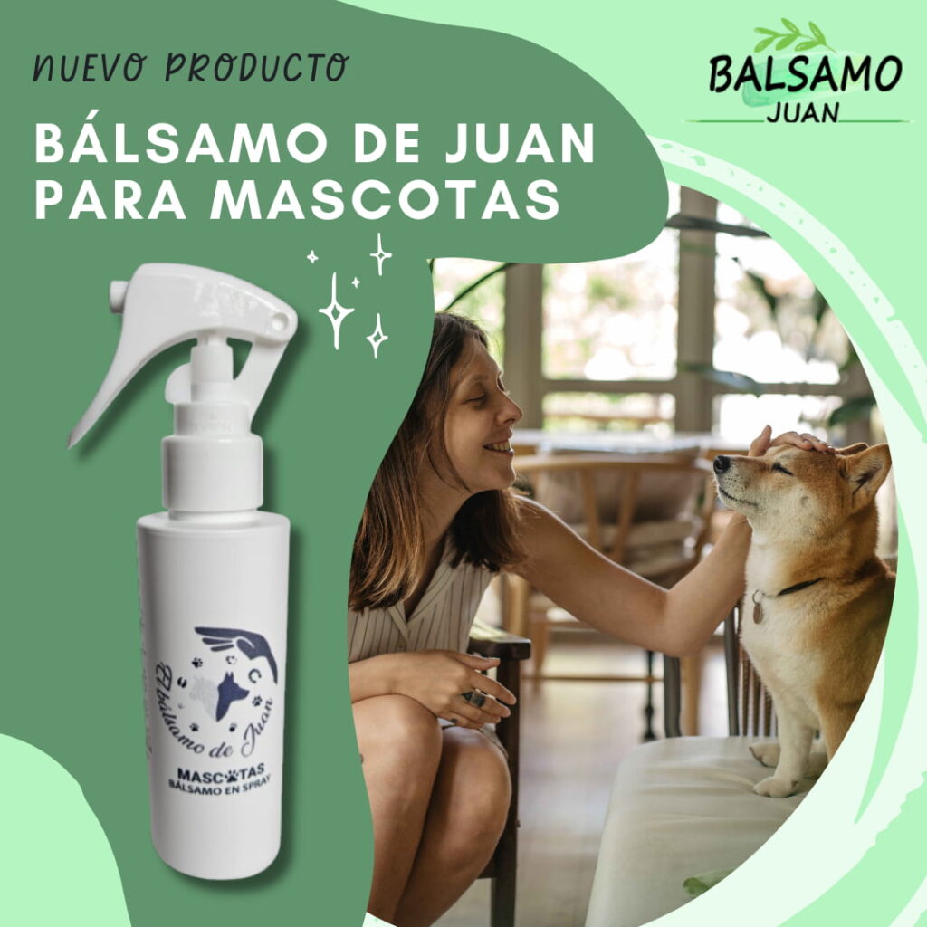 balsamo-de-juan-para-mascotas